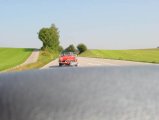 image spider_giulia-jpg